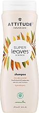 Kup Szampon do włosów nadający objętość z żurawiną i proteinami soi - Attitude Super Leaves Volume & Shine Soy Protein & Cranberries Shampoo