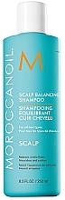 Balansujący szampon do skóry głowy - MoroccanOil Scalp Balancing Shampoo — Zdjęcie N1