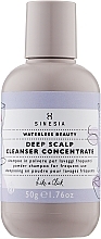 Kup Delikatny, skoncentrowany, głęboko czyszczący szampon w proszku - Sinesia Waterless Beauty Deep Scalp Cleanser Concentrate