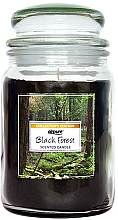 Kup Świeca zapachowa w słoiku Las - Airpure Jar Scented Candle Black Forest