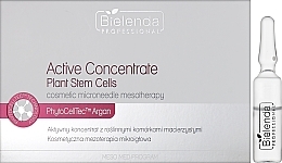 Aktywny koncentrat z roślinnymi komórkami macierzystymi - Bielenda Professional Meso Med Program — Zdjęcie N1
