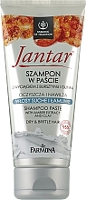 Oczyszczająco-nawilżający szampon w paście Wyciąg z bursztynu i glinka - Farmona Jantar Shampoo — Zdjęcie N1