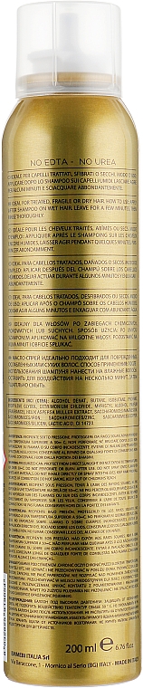 Odbudowujący olejek do włosów w sprayu - Emmebi Italia Beauty Experience Nutry Care Oil Spray — Zdjęcie N2