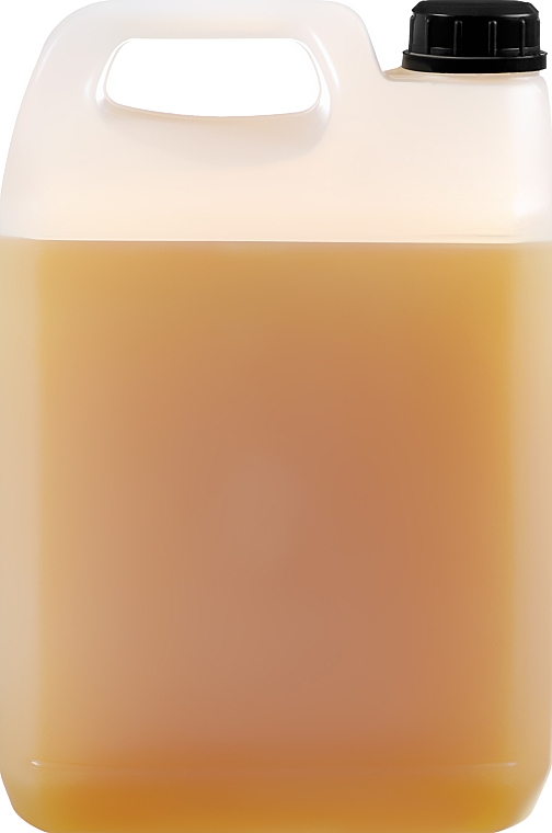 Szampon do włosów Olejek arganowy i miód - Farmavita Back Bar No2 Nourishing Shampoo Argan And Honey — Zdjęcie N5
