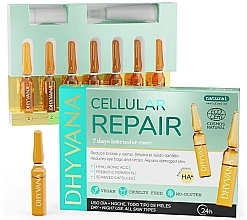 Kup Ampułki do twarzy Odbudowa komórek - Dhyvana Cellular Repair Ampoules