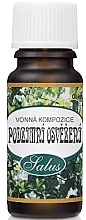 Kup Mieszanka olejków eterycznych Autumn Refreshment - Saloos Essential Oil Blands