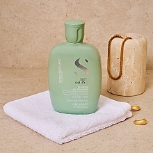 Przeciwłupieżowy szampon do włosów - Alfaparf Semi Di Lino Scalp Rebalance Purifying Low Shampoo — Zdjęcie N5