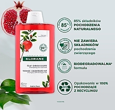 Szampon na bazie wyciągu z granatu Ochrona koloru - Klorane Shampoo With Pomegranate — Zdjęcie N3