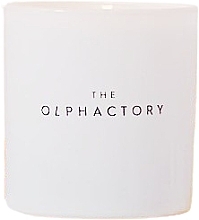 Świeca zapachowa - Ambientair The Olphactory Amber Whisper Scented Candle — Zdjęcie N1