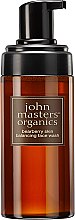 Kup Pianka do mycia twarzy do cery wrażliwej - John Masters Organics Bearberry Oily Skin Balancing Face Wash 