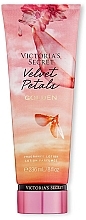 Perfumowany balsam do ciała - Victoria's Secret Velvet Petals Golden Fragrance Lotion — Zdjęcie N1