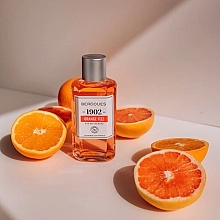 Berdoues 1902 Orange Fizz - Woda kolońska — Zdjęcie N3