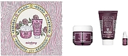 Kup Zestaw - Sisley Duo Rose Noire (f/cr/50ml + f/mask/60ml + f/oil/3ml)