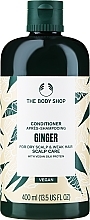 Kup PRZECENA! Odżywka przeciwłupieżowa - The Body Shop Ginger Scalp Care Conditioner *