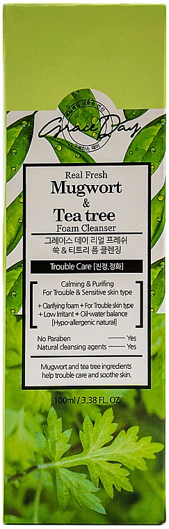 Pianka do mycia twarzy z piołunem i ekstraktem z drzewa herbacianego - Grace Day Real Fresh Mugwort & Tea Tree Foam Cleanse