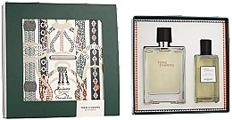 Hermes Terre d’Hermes - Zestaw (edt/100ml + sh/gel/80ml) — Zdjęcie N1