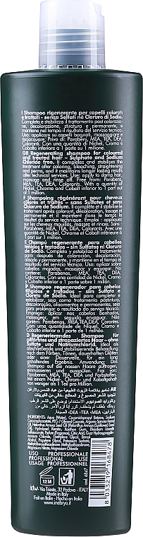 Regenerujący szampon do włosów farbowanych - Inebrya Green Post-Treatment Shampoo — фото N2