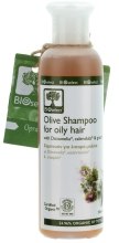 Kup Szampon z dictamelią i czerwonymi winogronami - BIOselect Olive Shampoo For Oily Hair