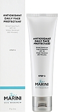 Nawilżający antyoksydacyjny filtr przeciwsłoneczny SPF 33 - Jan Marini Antioxidant Daily Face Protectant Spf 33 — Zdjęcie N2