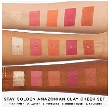 Zestaw - Tarte Cosmetics Stay Golden Amazonian Clay Cheek Set (highl/1,5g + blush/4x1,5g) — Zdjęcie N2