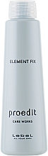 Wygładzające serum do włosów - Lebel Proedit Element Charge Care Works Element Fix — Zdjęcie N2