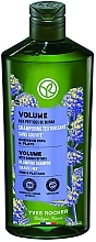 Kup Szampon dodający objętości włosom z peptydami z komosy ryżowej - Yves Rocher Volume Shampoo With Ouinda Peptides 