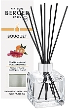 Kup Maison Berger Cube Rhubarb Radiance - Dyfuzor zapachowy
