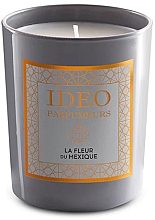 Kup Świeca zapachowa - Ideo Parfumeurs La Fleur Du Mexique Perfumed Candle