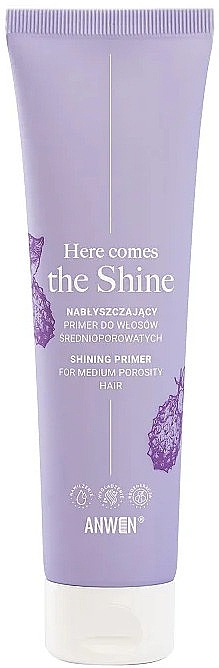 Podkład do włosów średnioporowatych - Anwen Here Comes The Shine Shining Primer — Zdjęcie N1