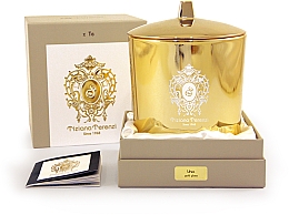 Tiziana Terenzi Ursa Scented Candle Gold Glass - Świeca zapachowa z pokrywką — Zdjęcie N1