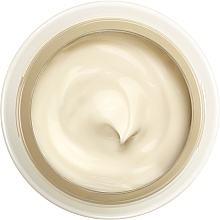 Krem na dzień - Shiseido Benefiance NutriPerfect Day Cream SPF 15 — Zdjęcie N3