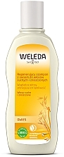 Regenerujący szampon do włosów Owies - Weleda Oat Regenerating Shampoo — Zdjęcie N1