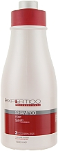 Kup Szampon po koloryzacji - Tico Professional Expertico Post Color Shampoo