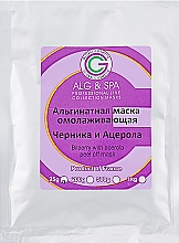 Maska alginianowa z jagodami i acerolą - ALG & SPA Professional Line Collection Masks Bilberry With Acerola Peel off Mask — Zdjęcie N2
