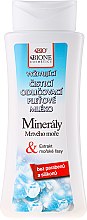Kup Odżywcze mleczko do demakijażu z minerałami z Morza Martwego - Bione Cosmetics Dead Sea Minerals Nourishing Make-Up Removal Milk