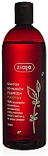 Kup Pokrzywowy szampon do włosów z łupieżem - Ziaja