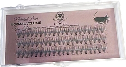 Kup Sztuczne rzęsy w kępkach, 14 mm C, 60 sztuk - Lewer Natural Lash Normal Volume San Francisco