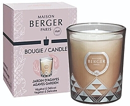 Świeca zapachowa - Maison Berger Garden Of Agaves Candle  — Zdjęcie N1