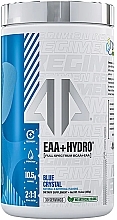 Kup Kompleks aminokwasów - AP Sports Regimen BCAA + EAA + Hydro Blue Crystal