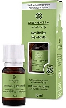 Kup Dyfuzor zapachowy - Chesapeake Bay Aroma Oil Revita