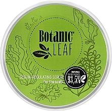 Scrub do skóry głowy regulujący wydzielanie sebum - Botanic Leaf — Zdjęcie N1