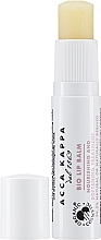 Kup Naturalny balsam do ust SPF 15 - Acca Kappa Natural Lip Balm SPF 15