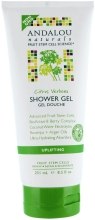 Kup Liftingujący żel pod prysznic Cytrus i werbena - Andalou Naturals Citrus Verbena Uplifting Shower Gel