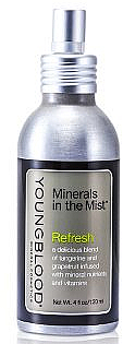 Mineralna odświeżająca mgiełka do twarzy - Youngblood Minerals In The Mist Refresh  — Zdjęcie N1