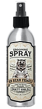 Kup Matujący spray do włosów - Mr Bear Family Matt Hold Grooming Spray