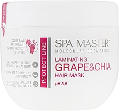 Maska do laminowania do ochrony włosów z winogronami i chia - Spa Master Laminating Grape & Chia Hair Mask — Zdjęcie N1
