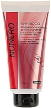 Kup Szampon chroniący kolor włosów farbowanych z ekstraktem z granatu - Brelil Professional Numero Colour Protection Shampoo