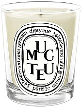 Świeca zapachowa - Diptyque Muguet Candle — Zdjęcie N1