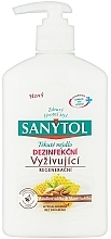 Kup Dezynfekujące mydło w płynie - Sanytol