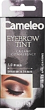 Kup Krem do koloryzacji brwi (czarny) - Delia Eyebrow Tint Cream Cameleo 1.0 Black